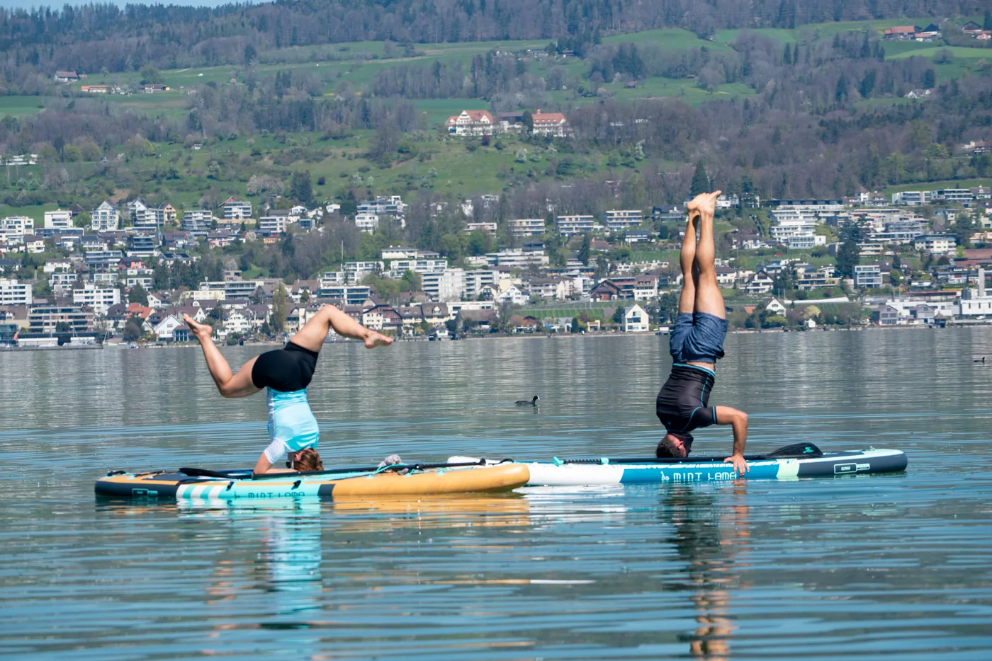 SUP für Anfänger: Welches Board passt zu mir?