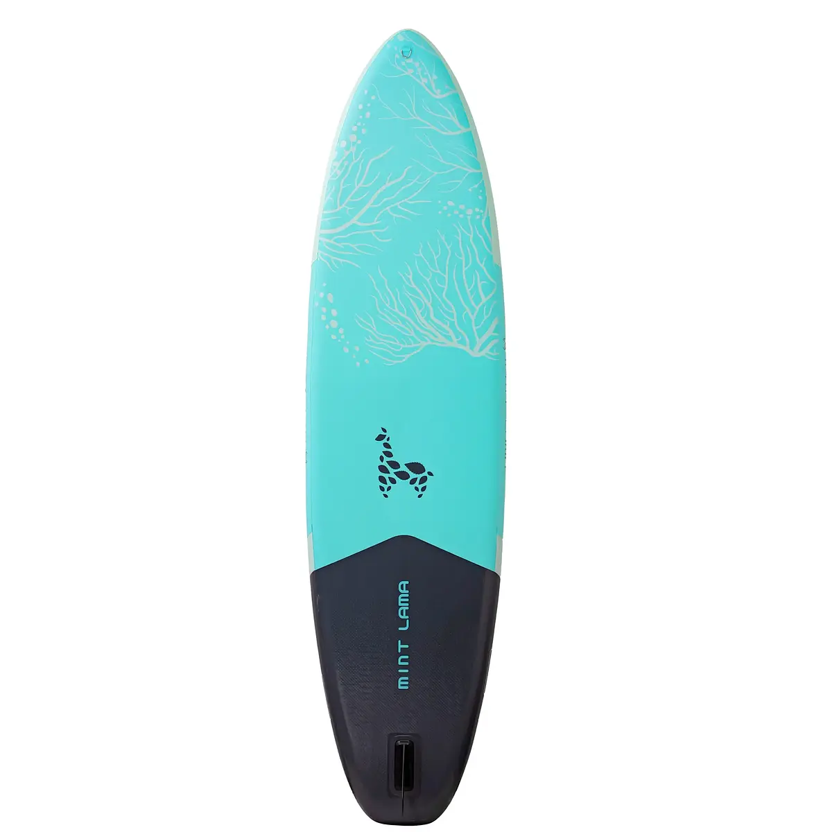 Alpaka 11'0" AQUA Ansicht 20
