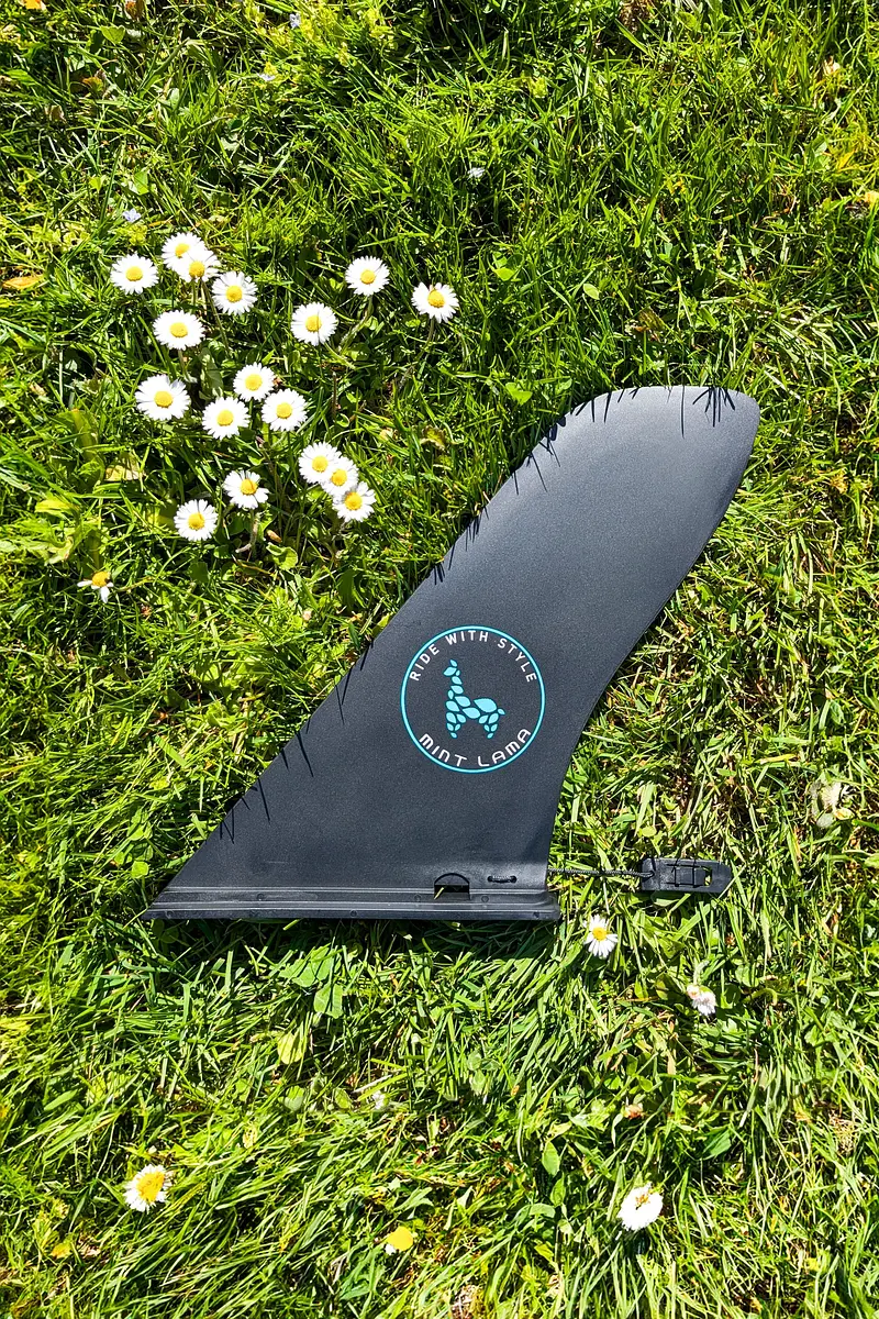 Finne Slide-In Touring Ansicht 2